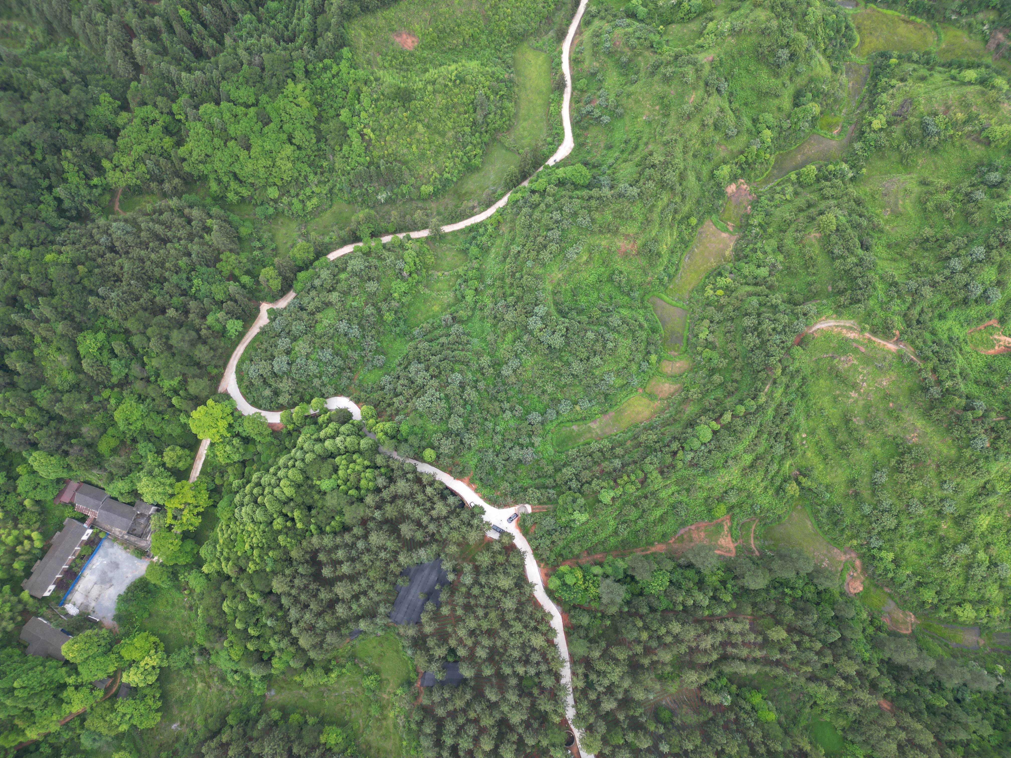 DJI_0136.jpg
