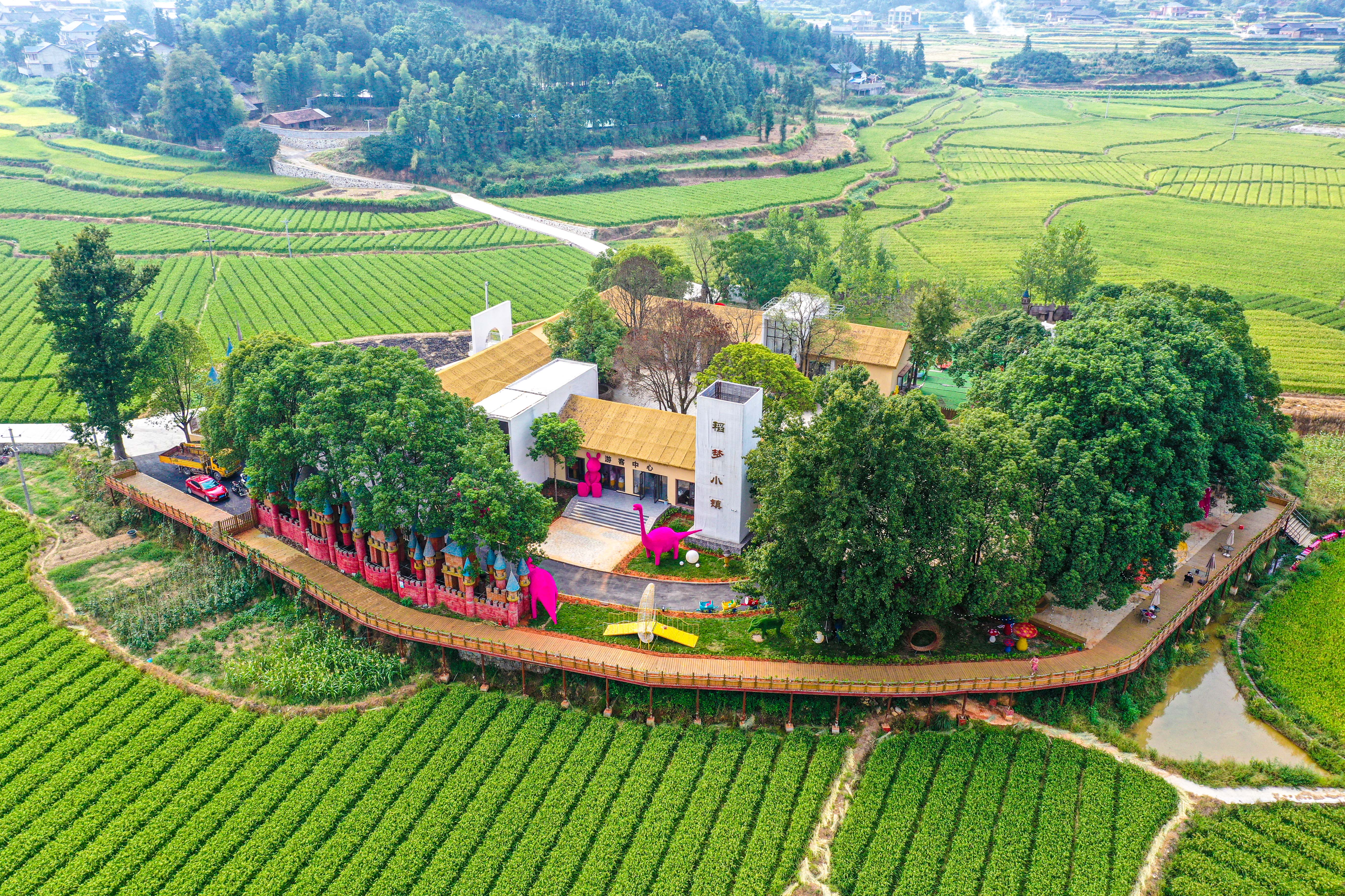 DJI_0181.jpg