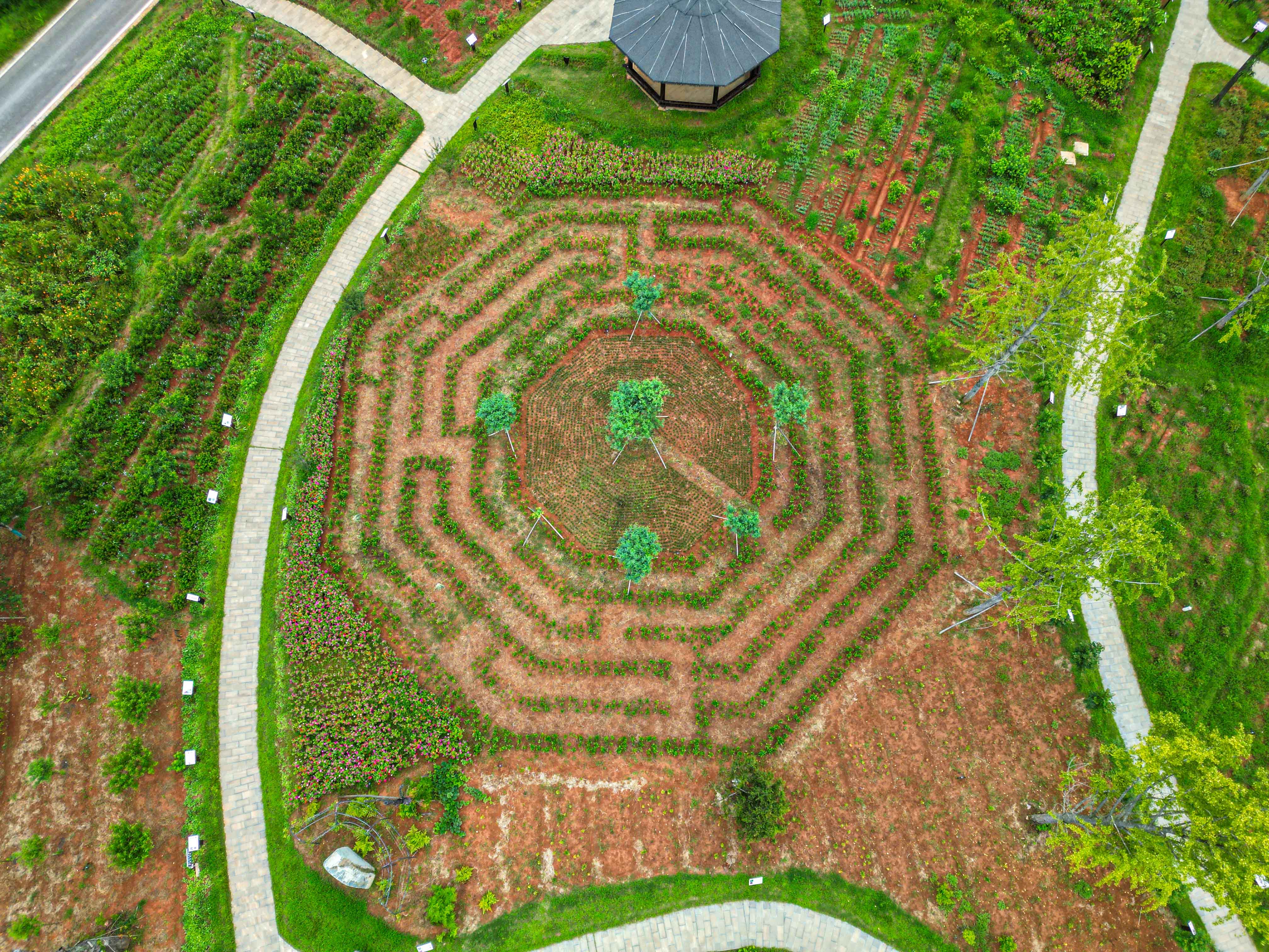 DJI_0887.jpg