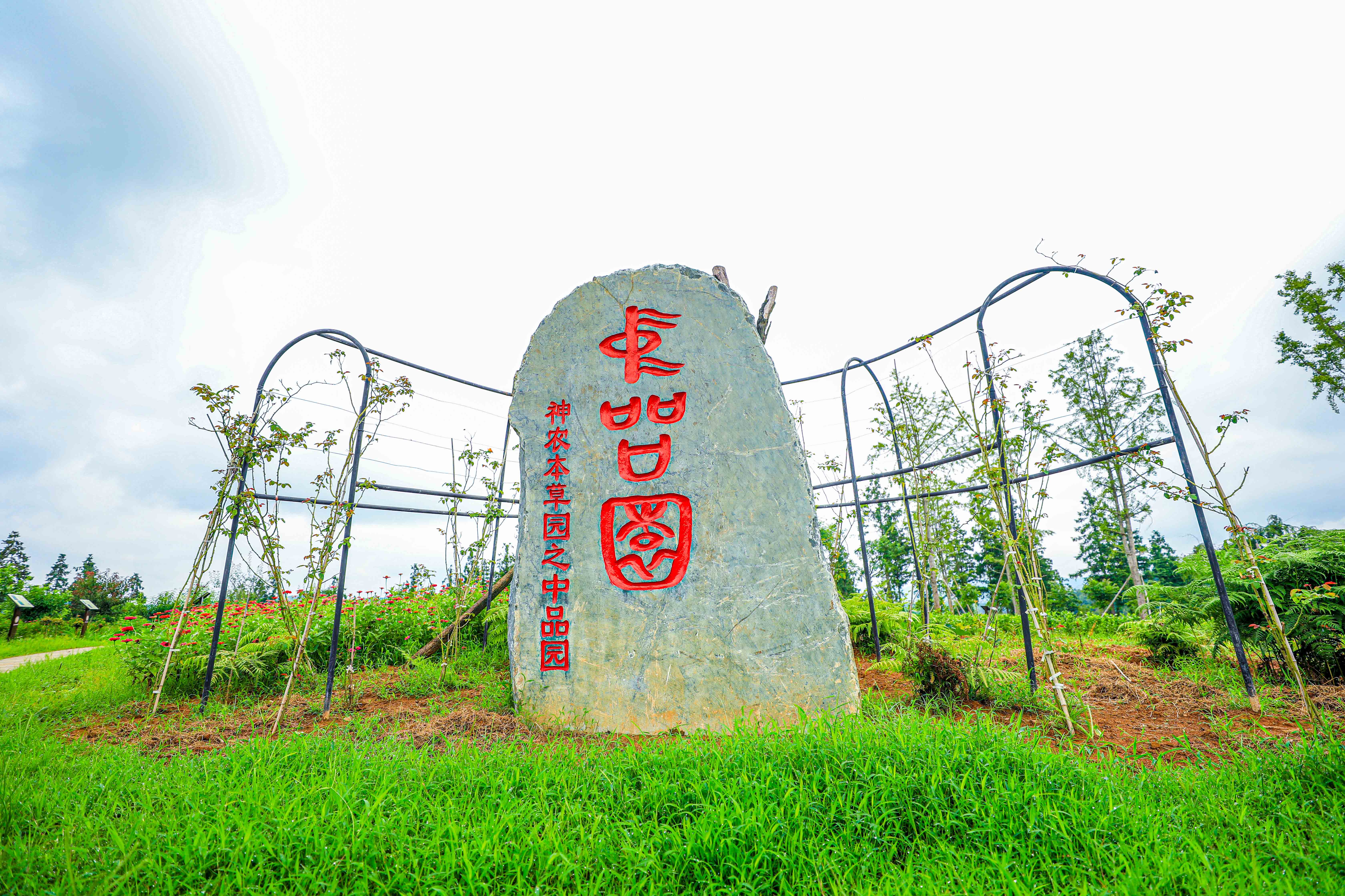 265A9101.jpg
