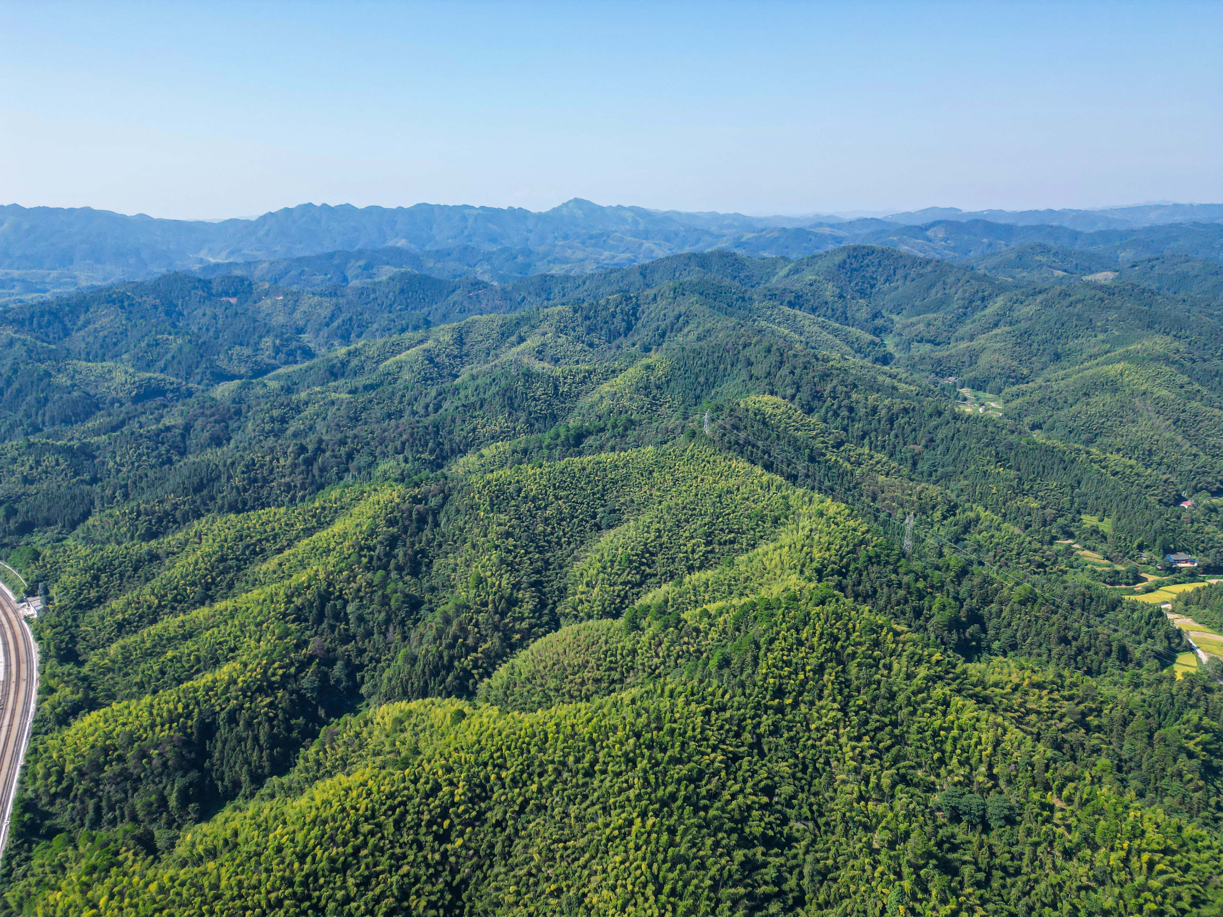 DJI_0974.jpg