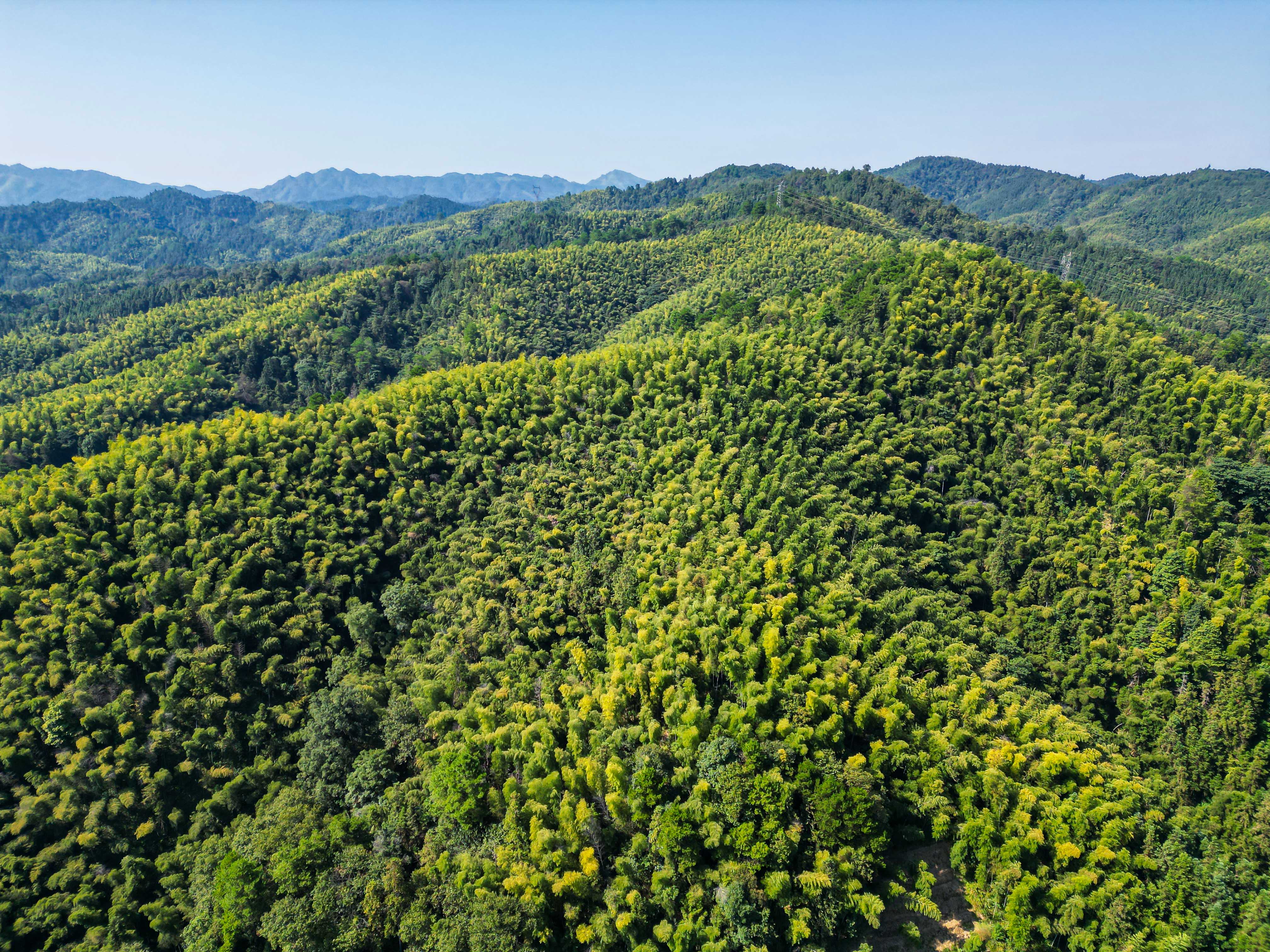 DJI_0970.jpg