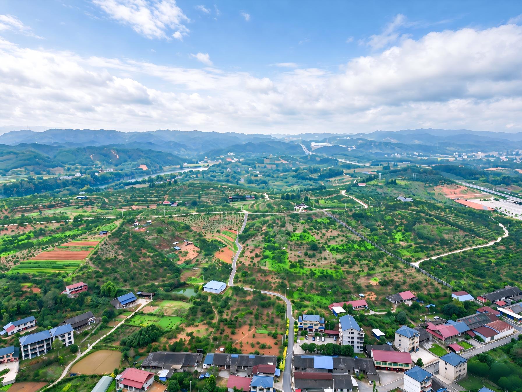 DJI_0114.jpg