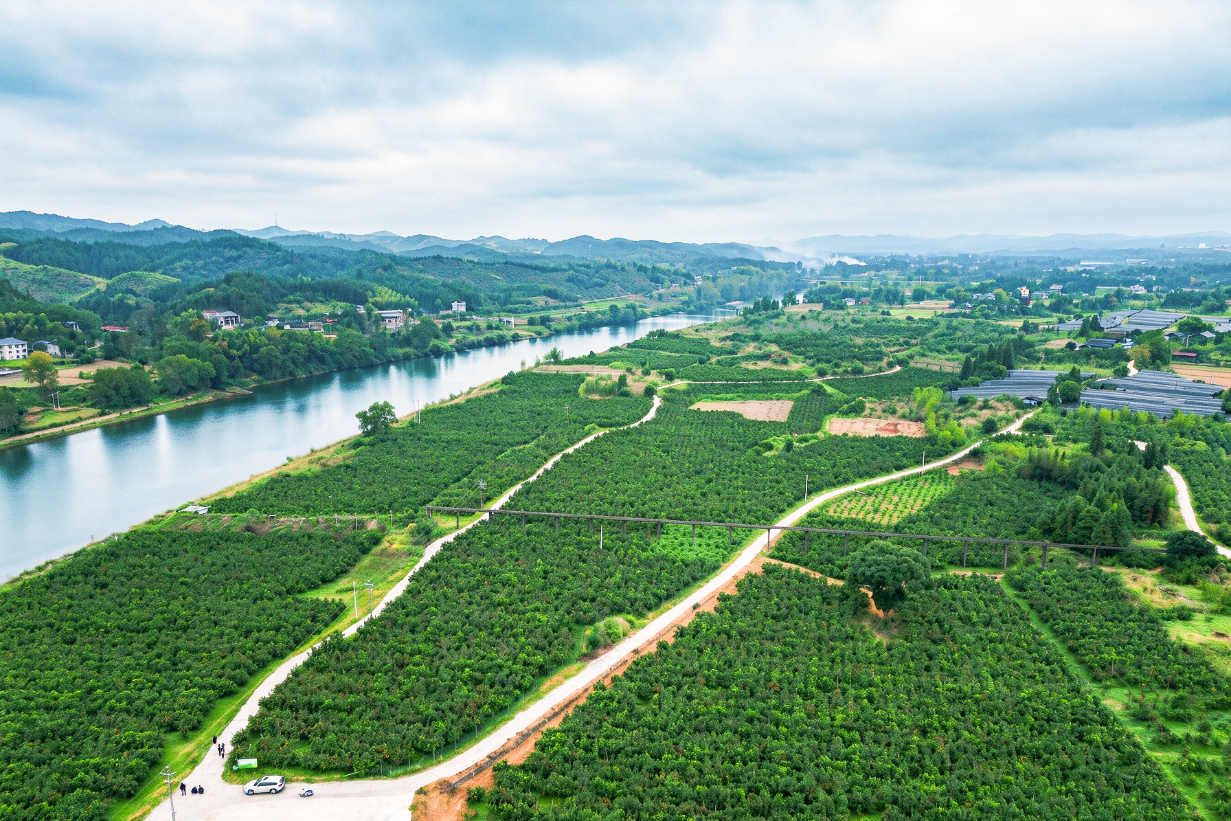 DJI_0125.jpg
