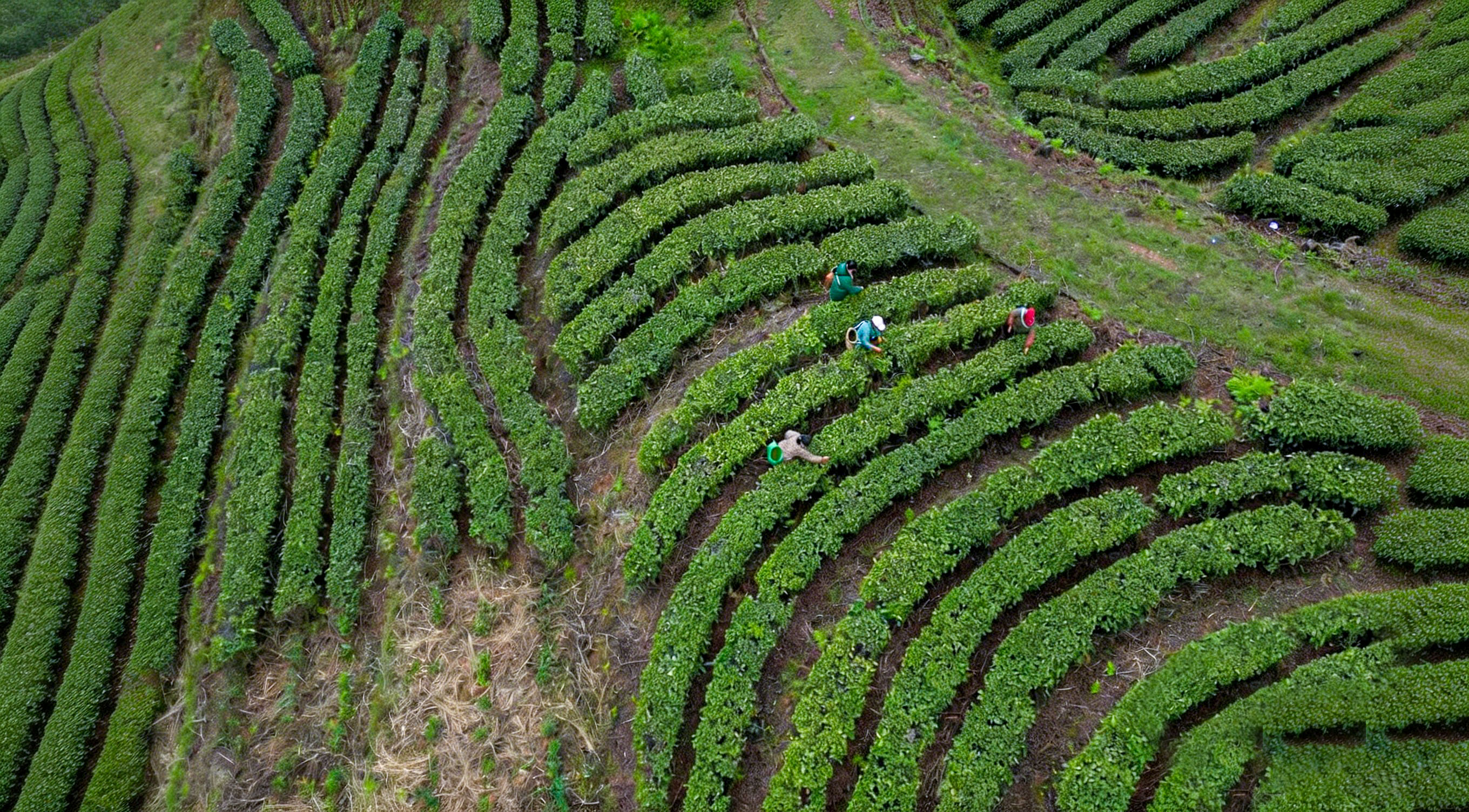 生成9_16风景大片质感图片 (3).jpg
