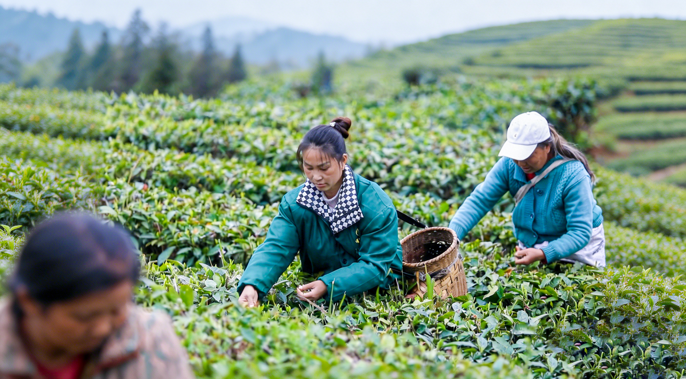 生成9_16风景大片质感图片 (1).jpg
