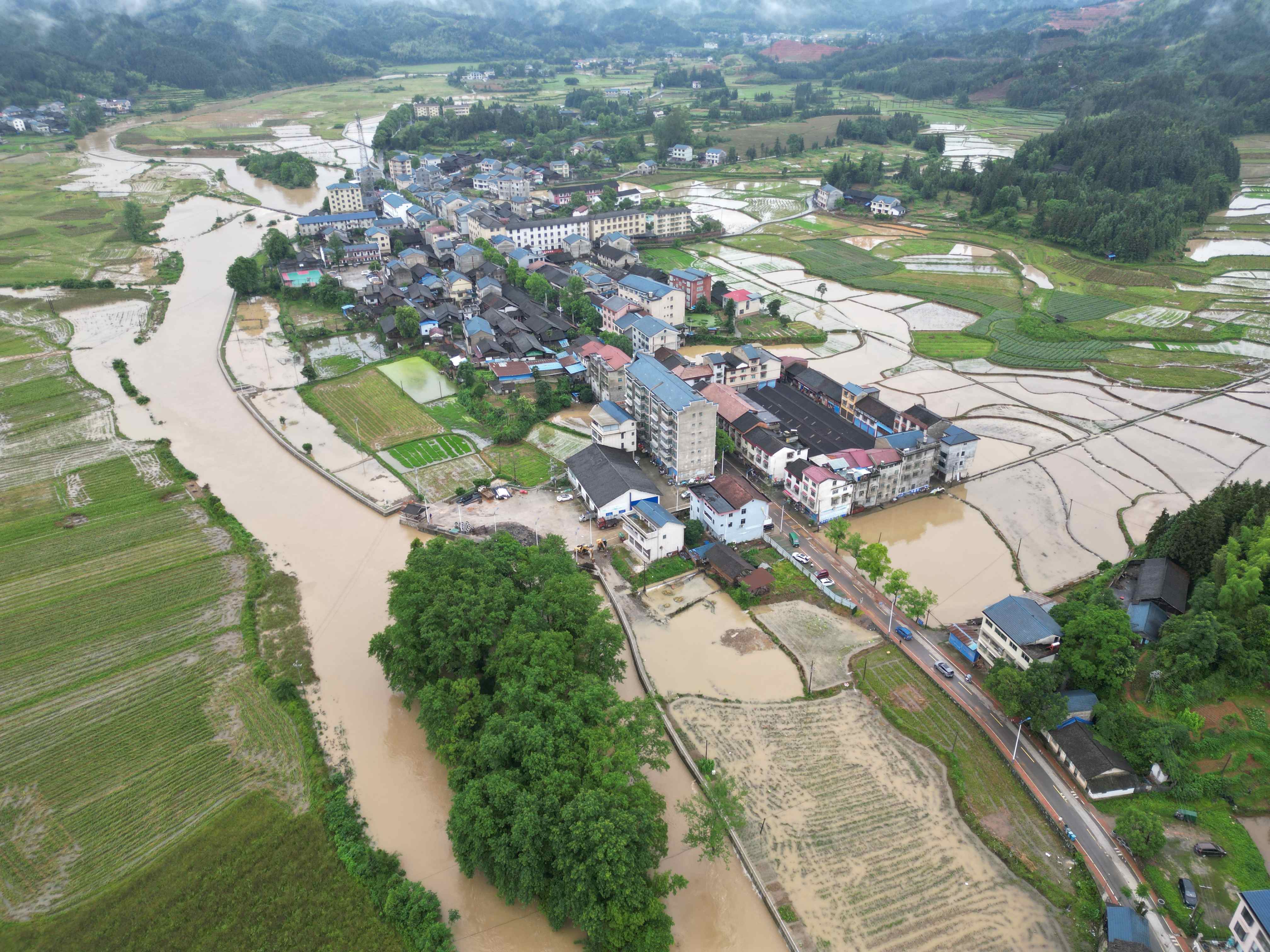 DJI_0275(1).JPG