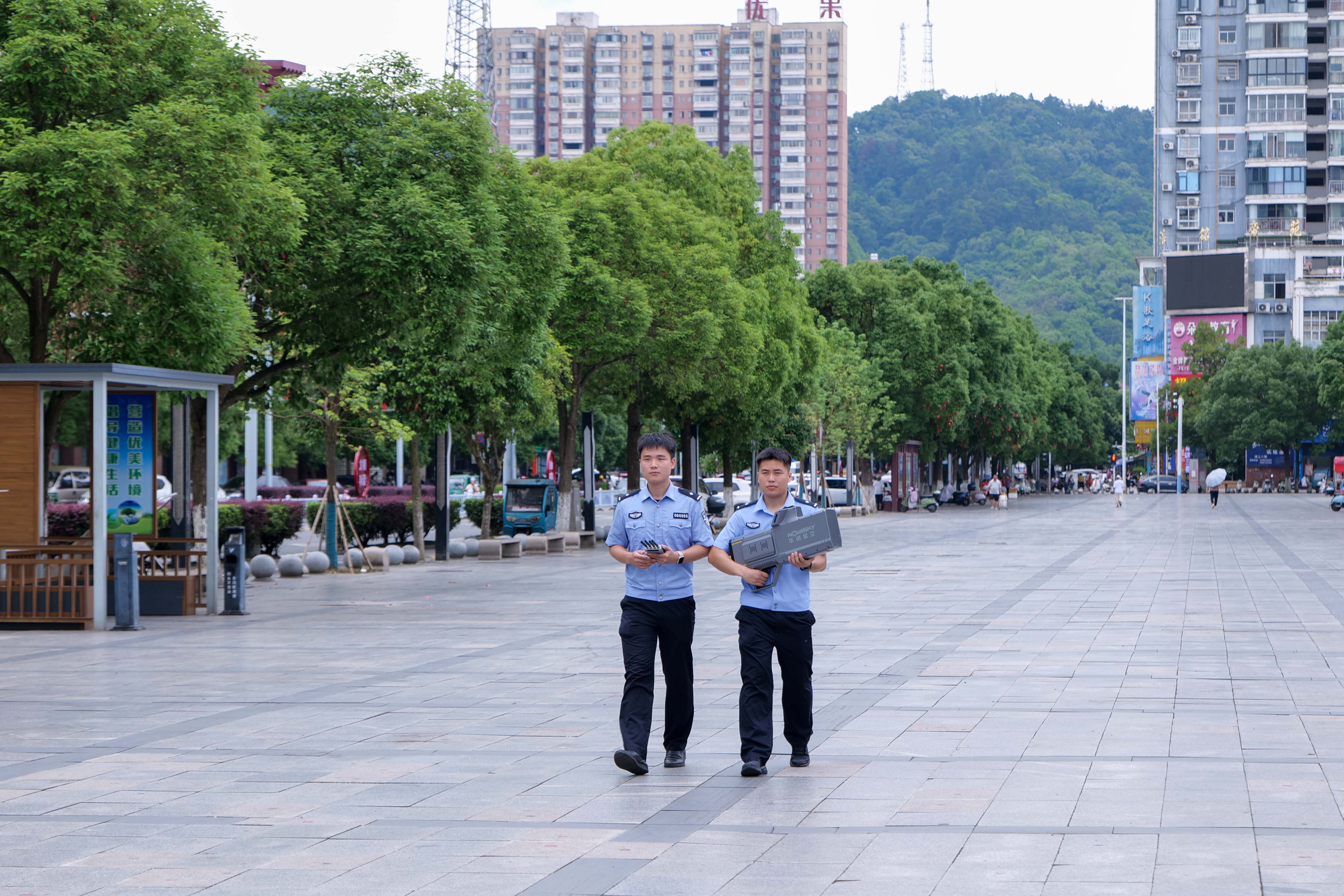 P1667483.jpg