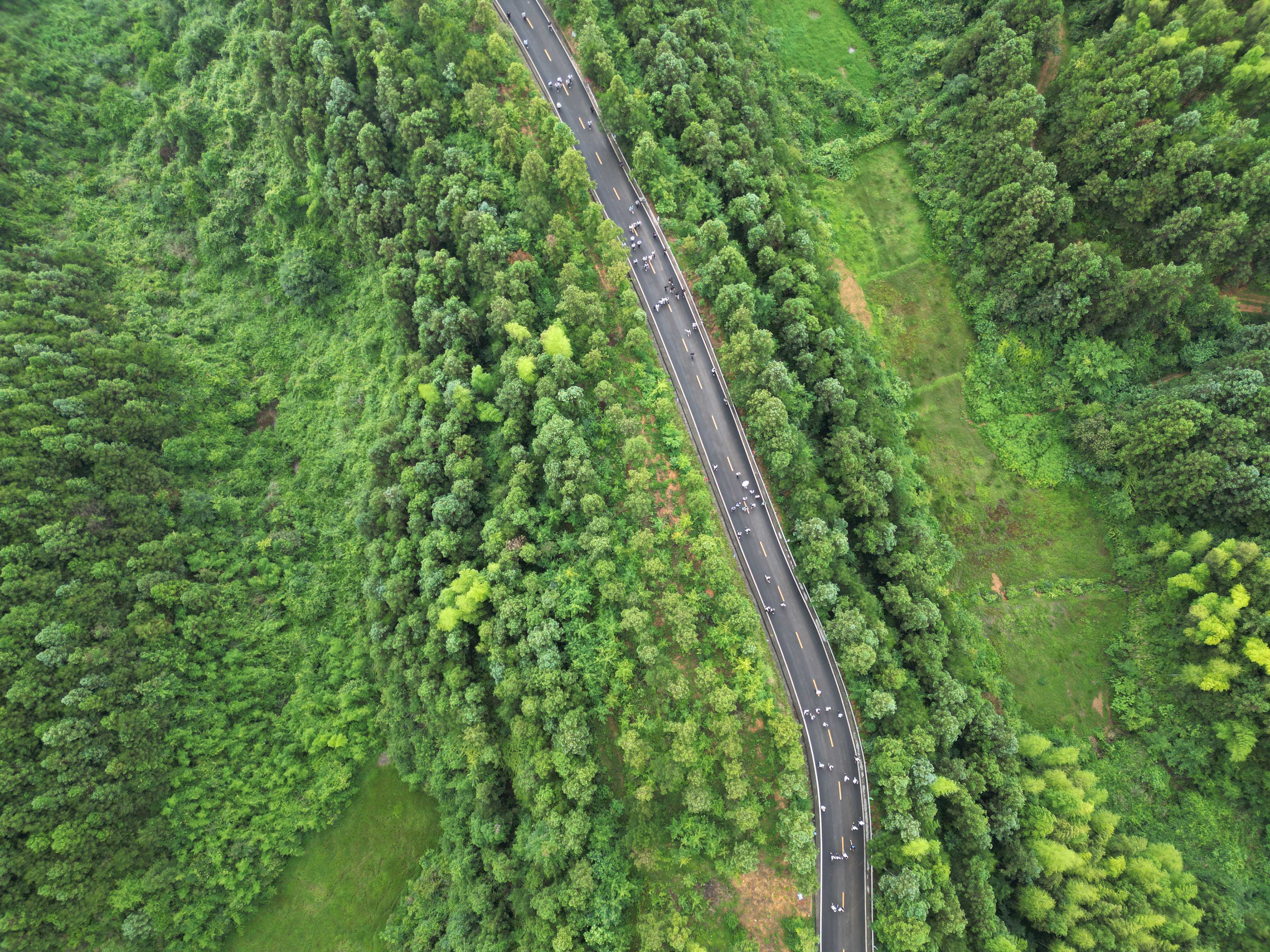DJI_0317.jpg