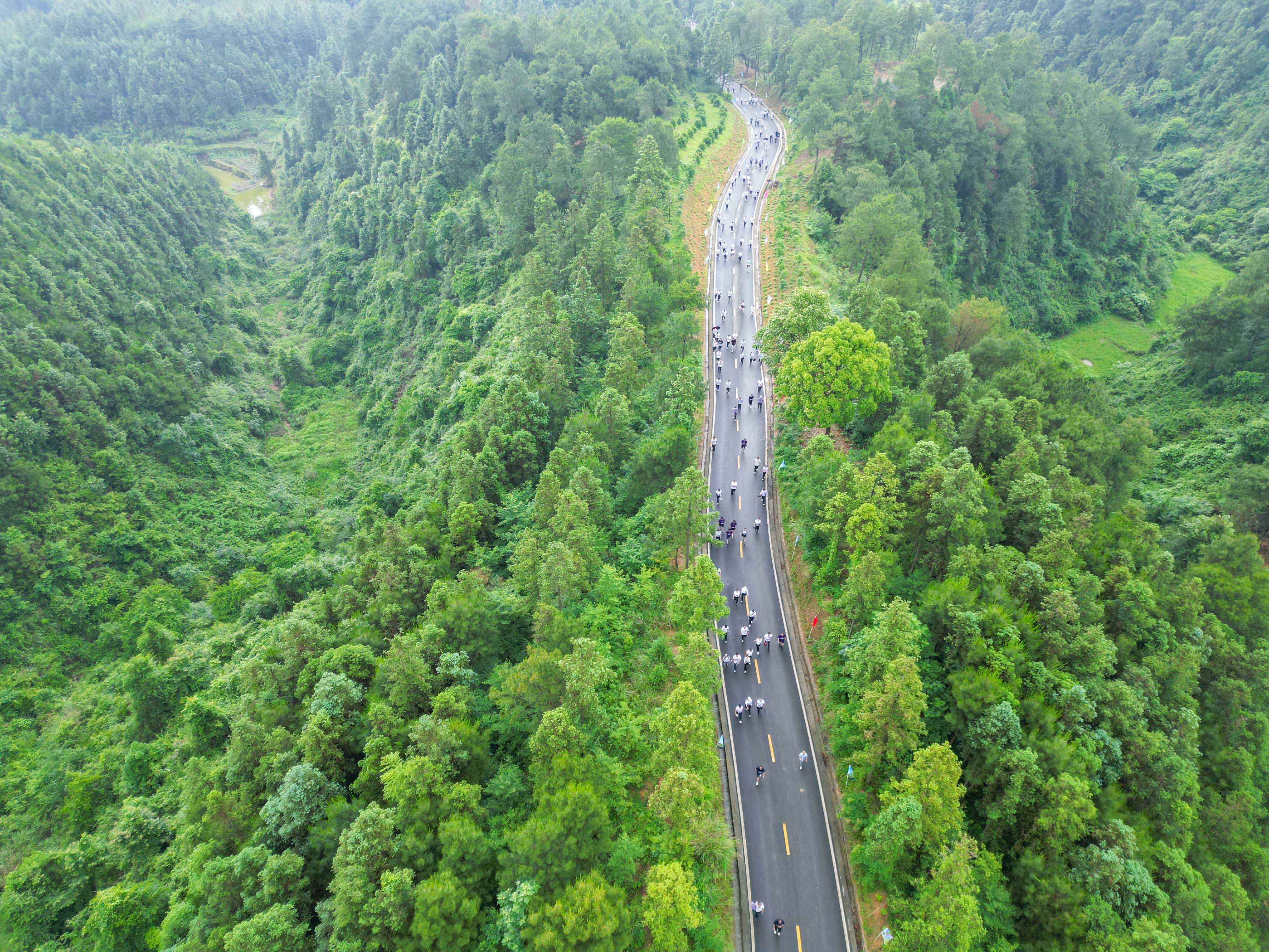 DJI_0311.jpg