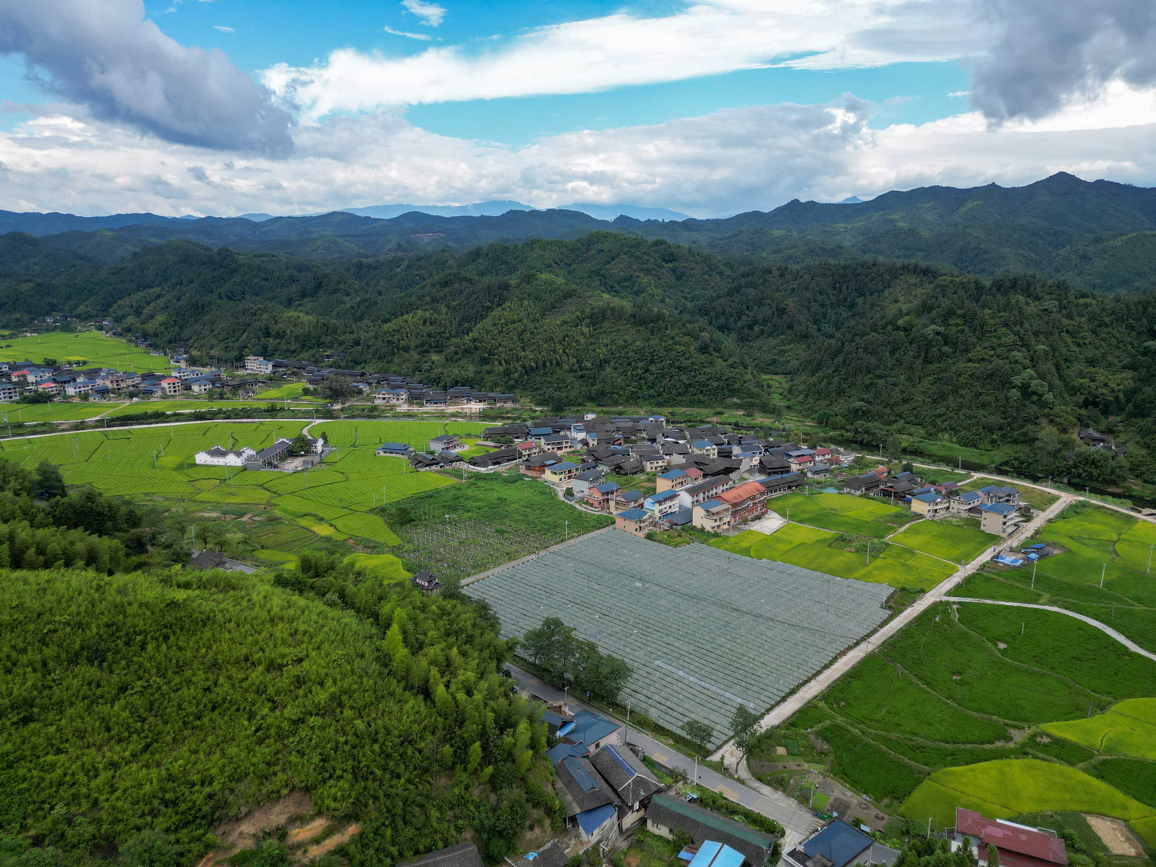 DJI_0004.jpg DJI_0004.jpg