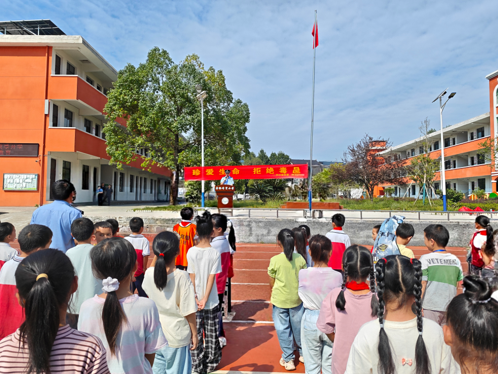 图片1.png 图片1.png