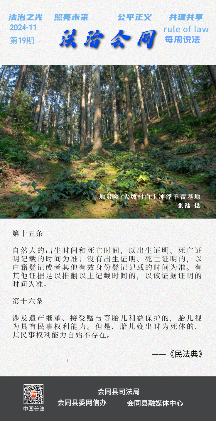 未命名__2024-11-14+15_44_52.png
