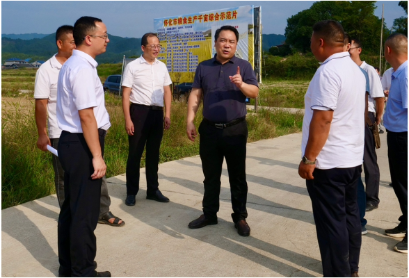 市委常委、副市长邹兴旺来会同开展巡林、下访及调研督导食品安全、乡村振兴等工作