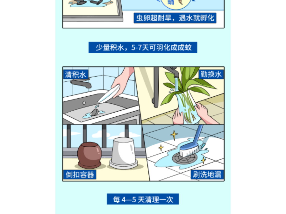 清除伊蚊孳生地，科学防护远离登革热 | 一文读懂
