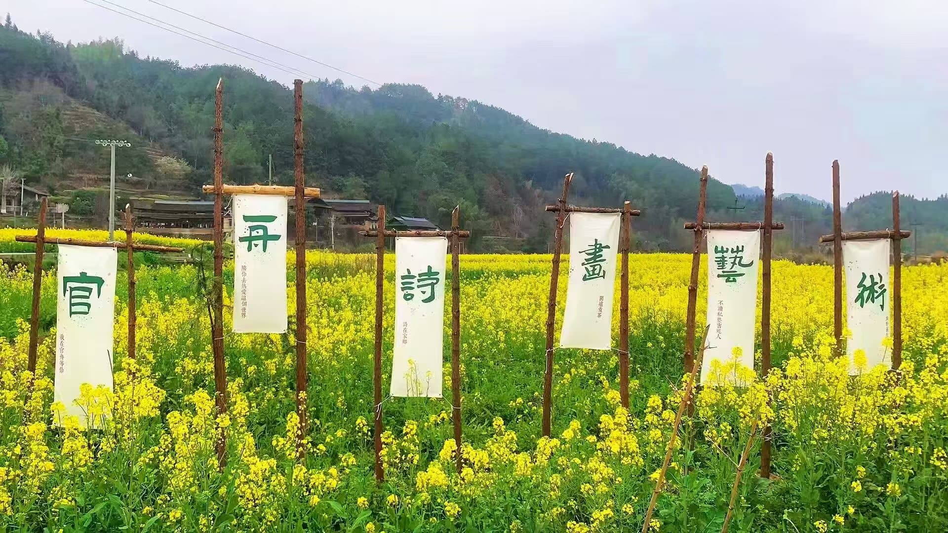 图片7.jpg 图片7.jpg