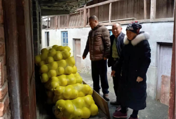 连山乡：消费扶贫在行动，帮助橘农促增收