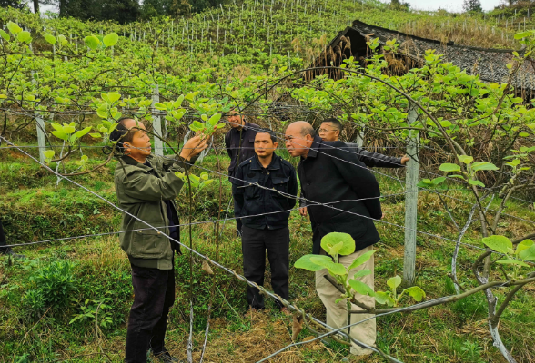 农民“点菜” 专家“下厨”——会同县科技培训助力乡村产业振兴