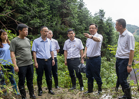 雷绍业:把汛情搞准措施做实 做到心中有数遇事不慌