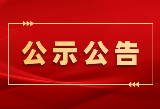 中央“十严禁”换届纪律要求