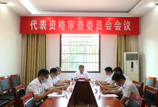 党代会进行时 | 县第十三次代表大会代表资格审查委员会会议召开