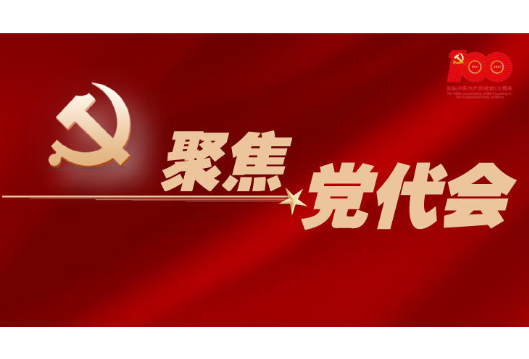 党代会进行时 | 代表团分组进行预选