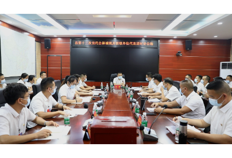 党代会进行时 | 苏振参加林城及联镇单位代表团分组讨论