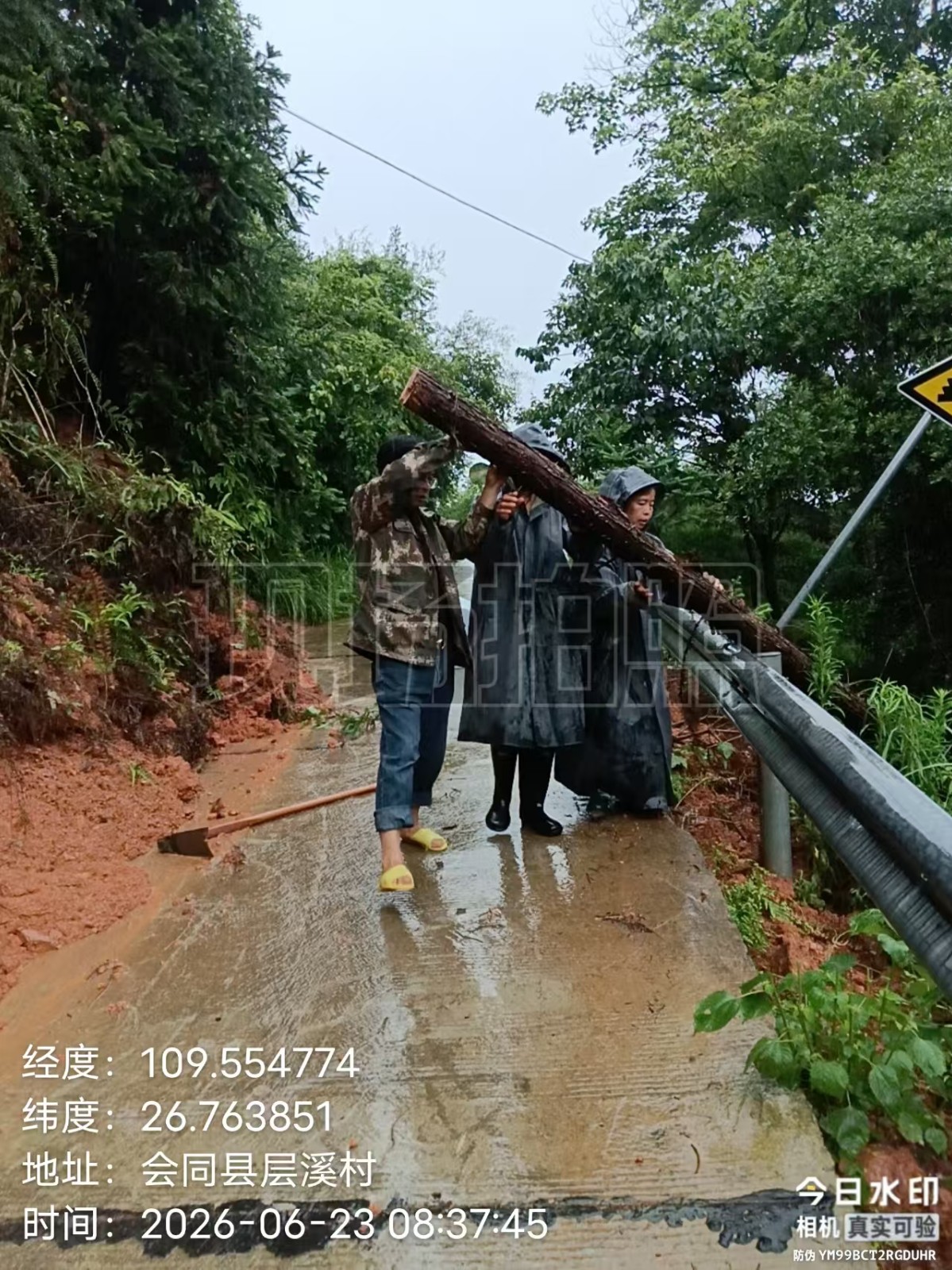 图片61.jpg