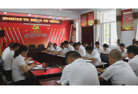 张玉铁指导宝田乡政府机关党支部党史学习教育专题组织生活会