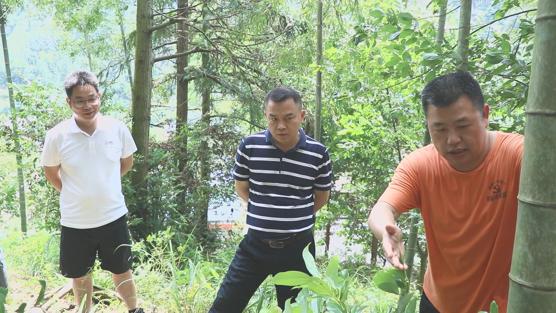 MVI_8354.MP4_20230619_131922.027_副本.jpg