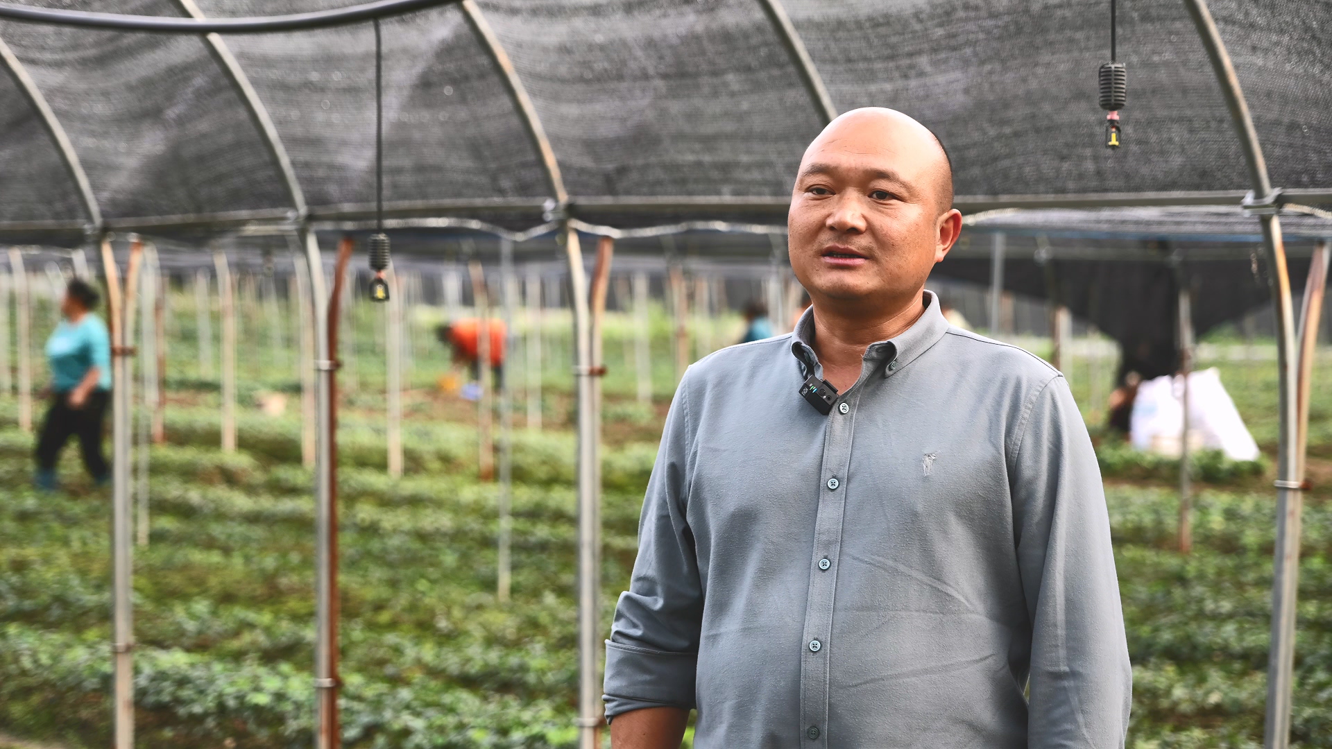 喻恩波 同期2.mp4_20251107_160409.590.jpg 喻恩波 同期2.mp4_20251107_160409.590.jpg