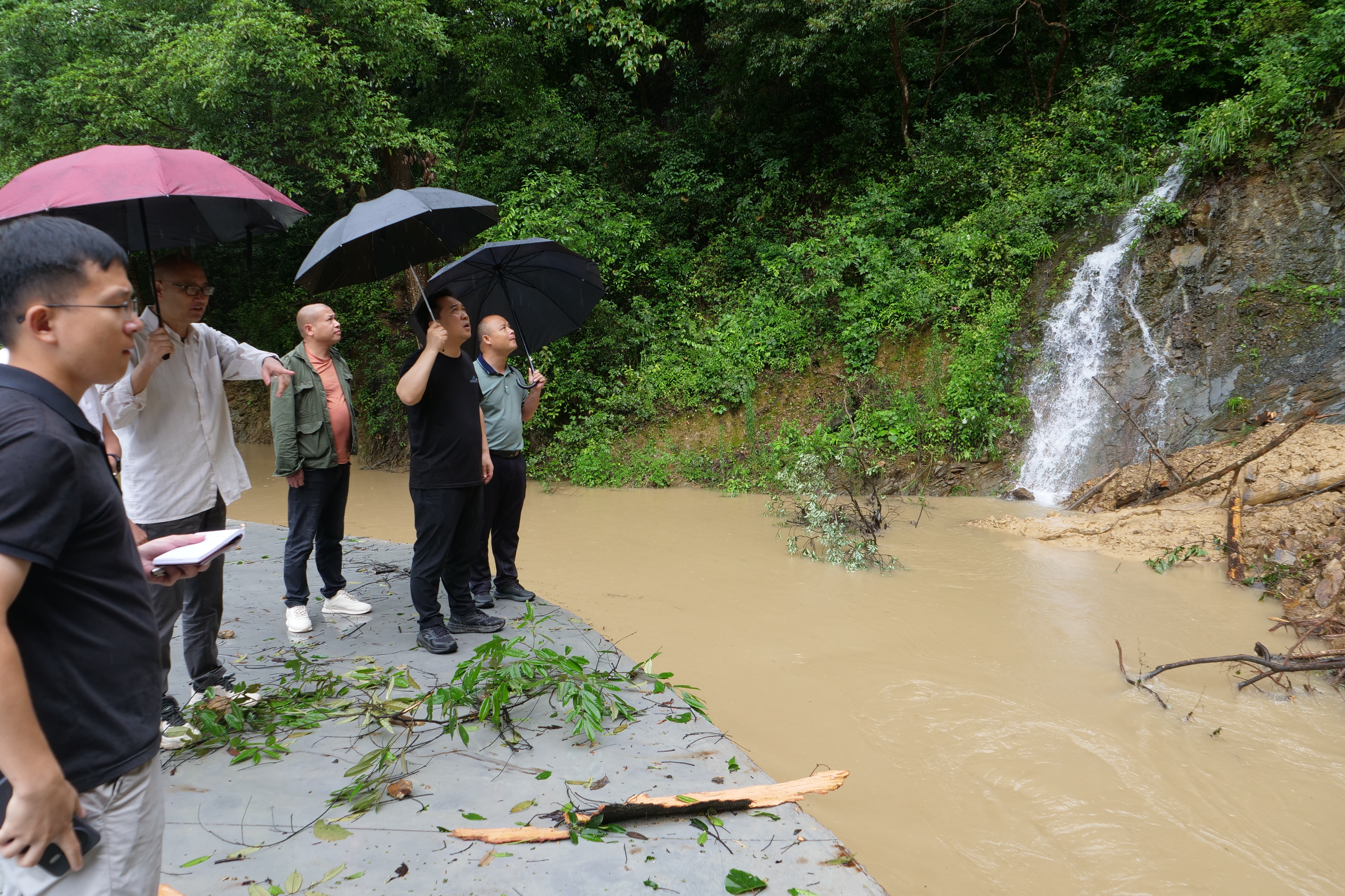 P1388656.JPG