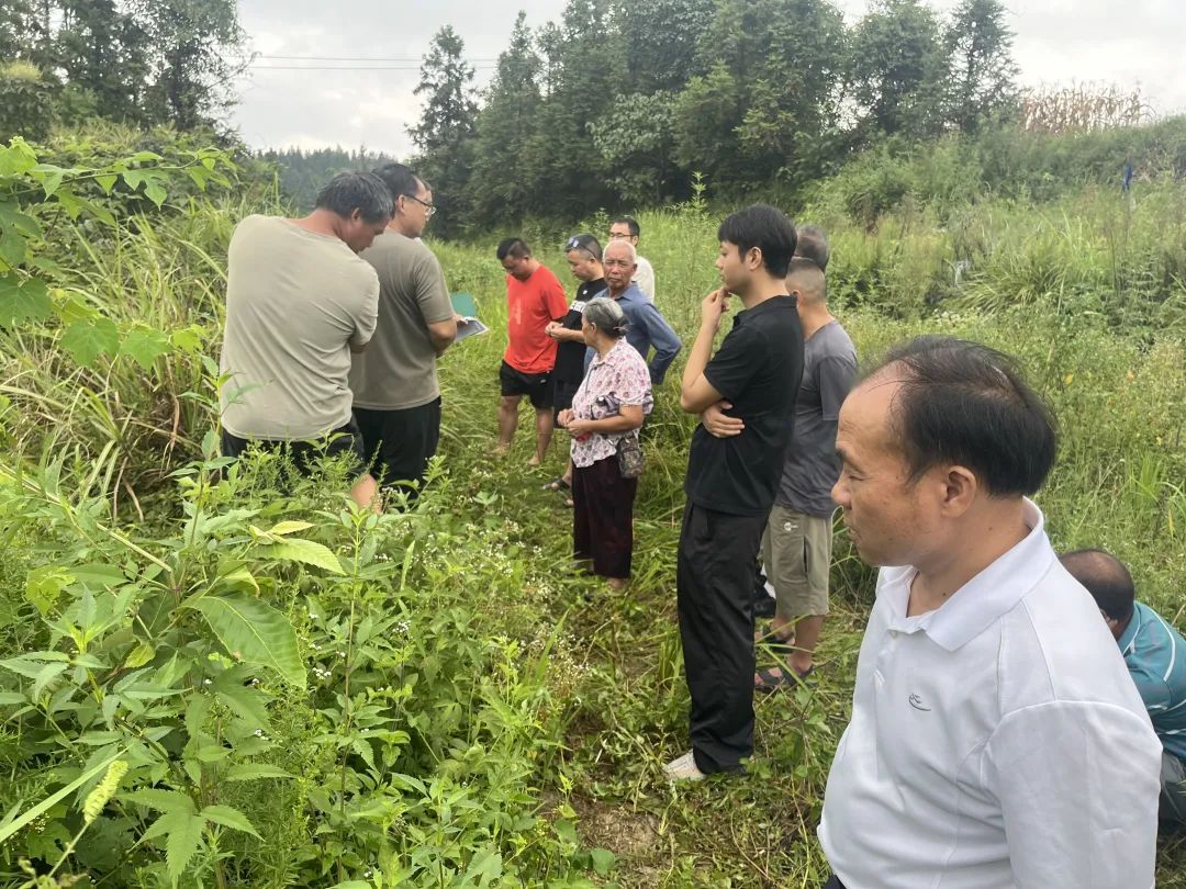 工作人员现场联合勘界.jpg