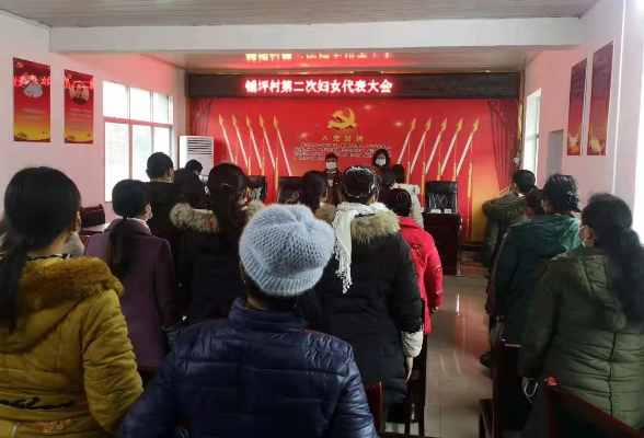 巾帼添活力——坪村镇圆满完成村级妇联换届选举工作