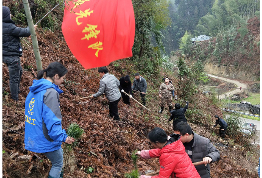 漠滨： 三百余党员干部义务植树添绿色