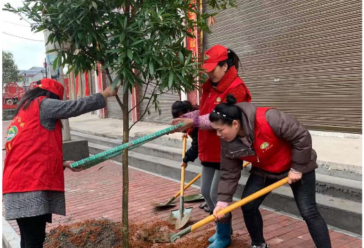 连山:义务植树增新绿 乡村振兴谱新章