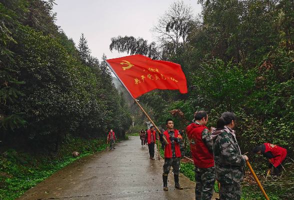 马鞍镇：义务植树  打造贡田古树林生态文化景点