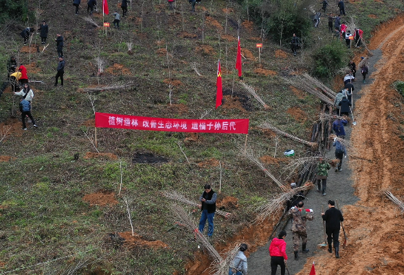 万名干群齐植树 美丽会同添新绿