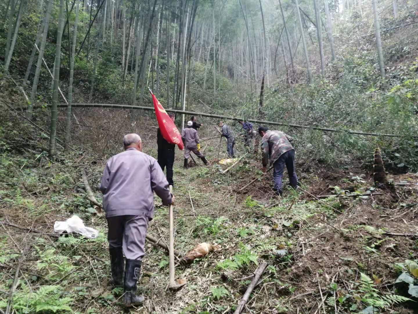 肖家村支部主题党日活动.jpg