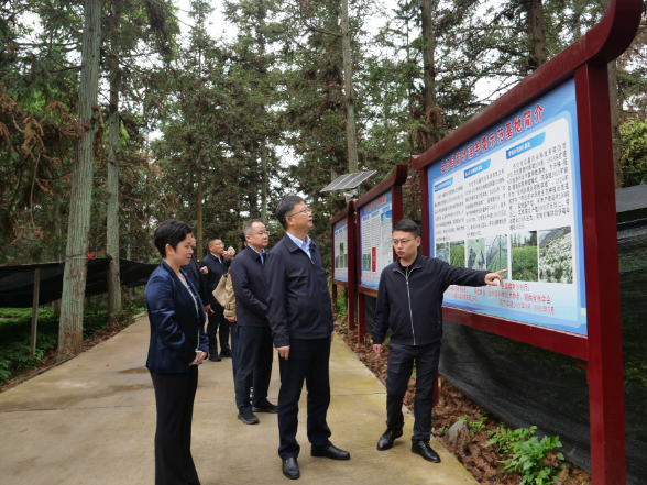 谢商文来会调研产业发展、同心“和美湘村”建设等工作