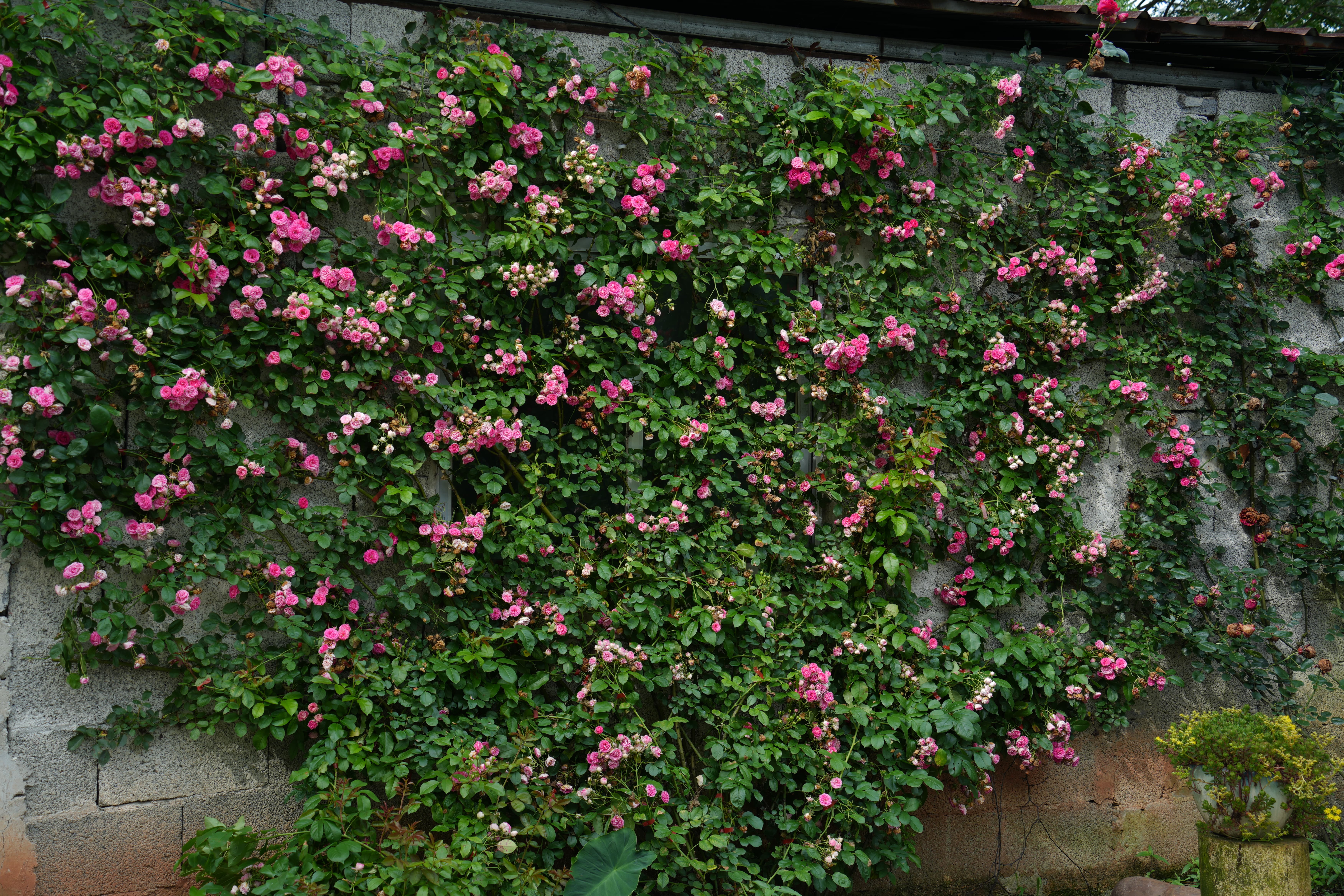 DSC05886.JPG