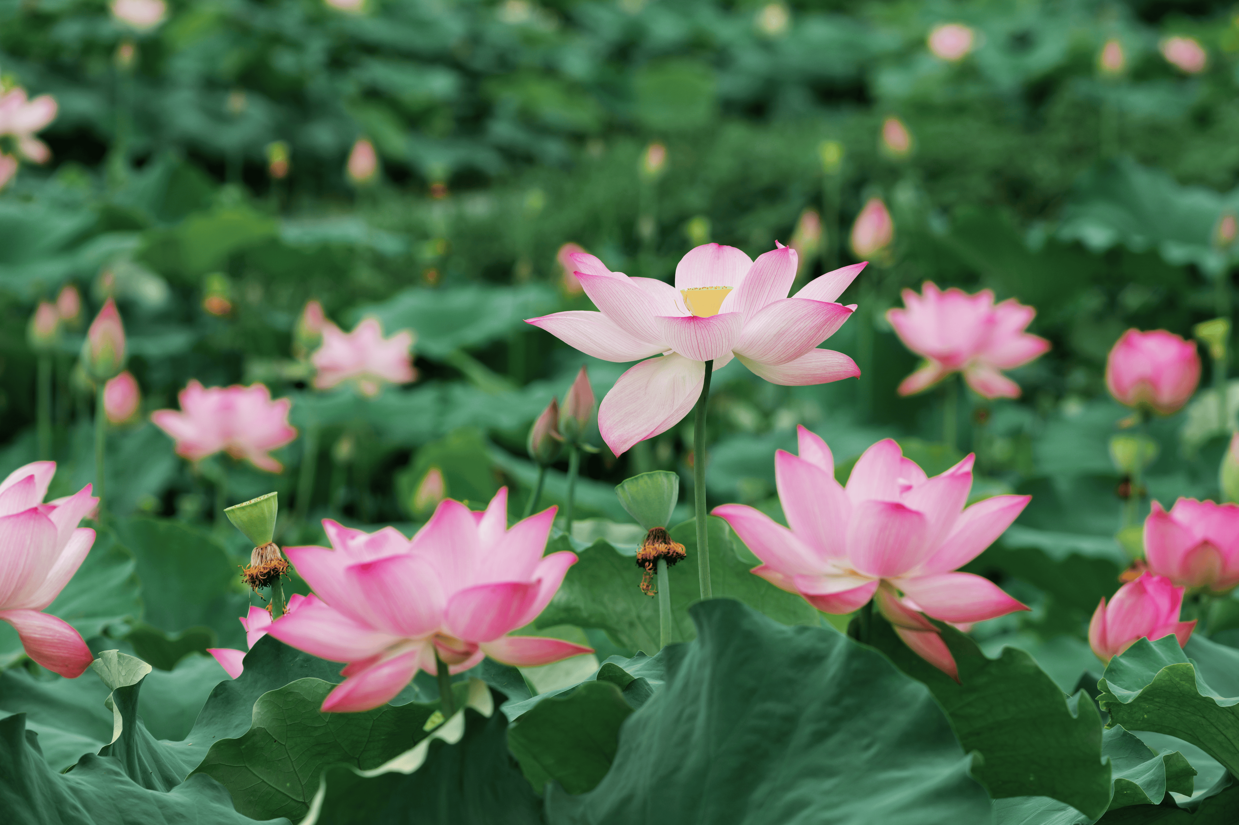 微信图片_20260721154856_1109_2.png 微信图片_20260721154856_1109_2.png