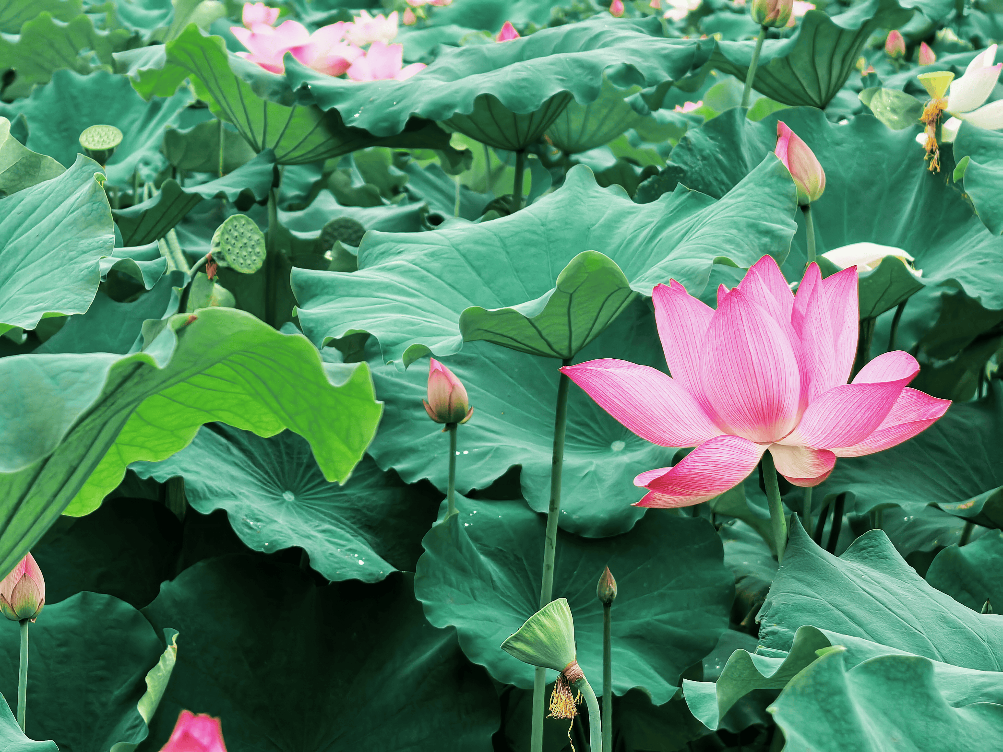 微信图片_20260721154859_1110_2.png 微信图片_20260721154859_1110_2.png