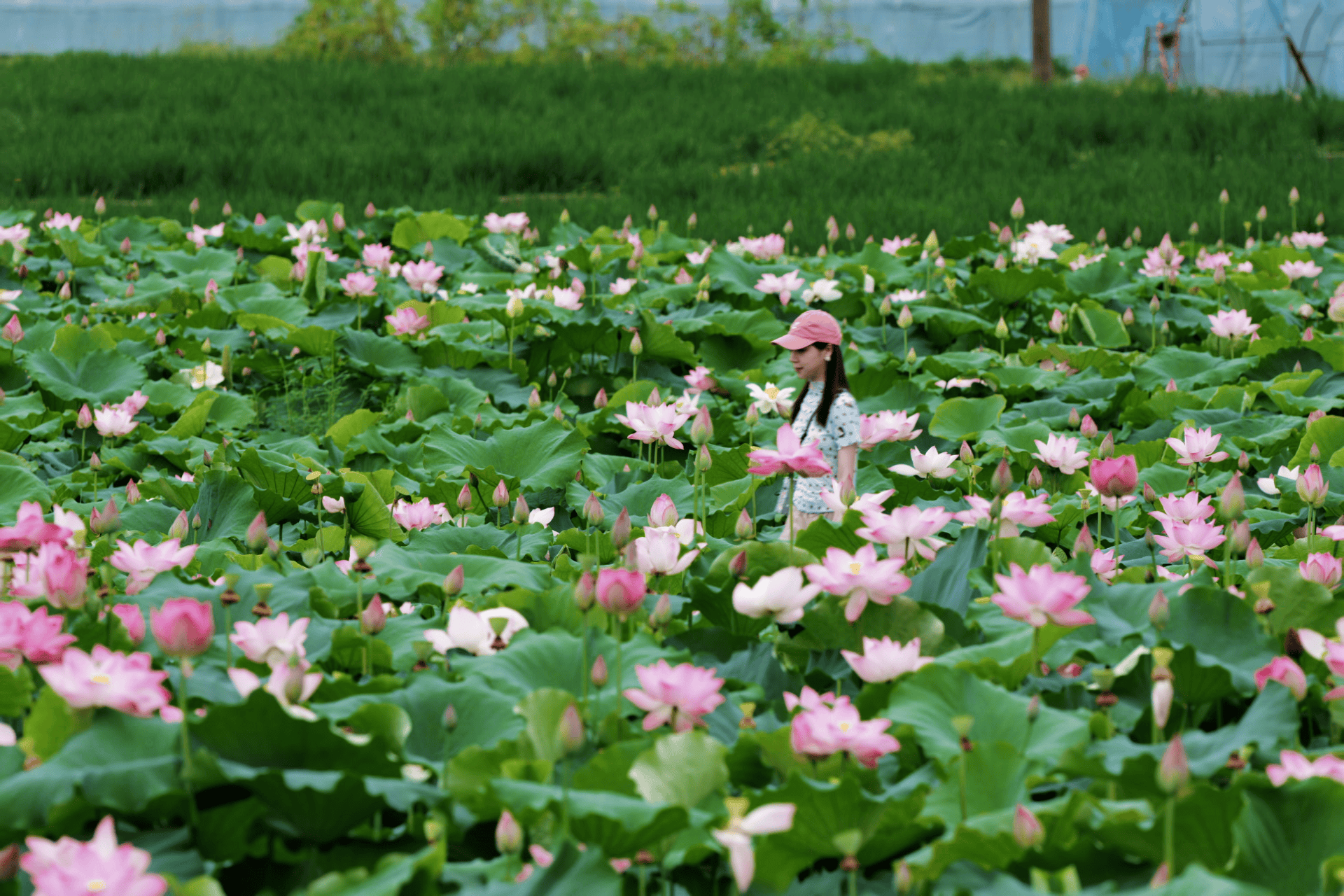 微信图片_20260721154900_1111_2.png 微信图片_20260721154900_1111_2.png