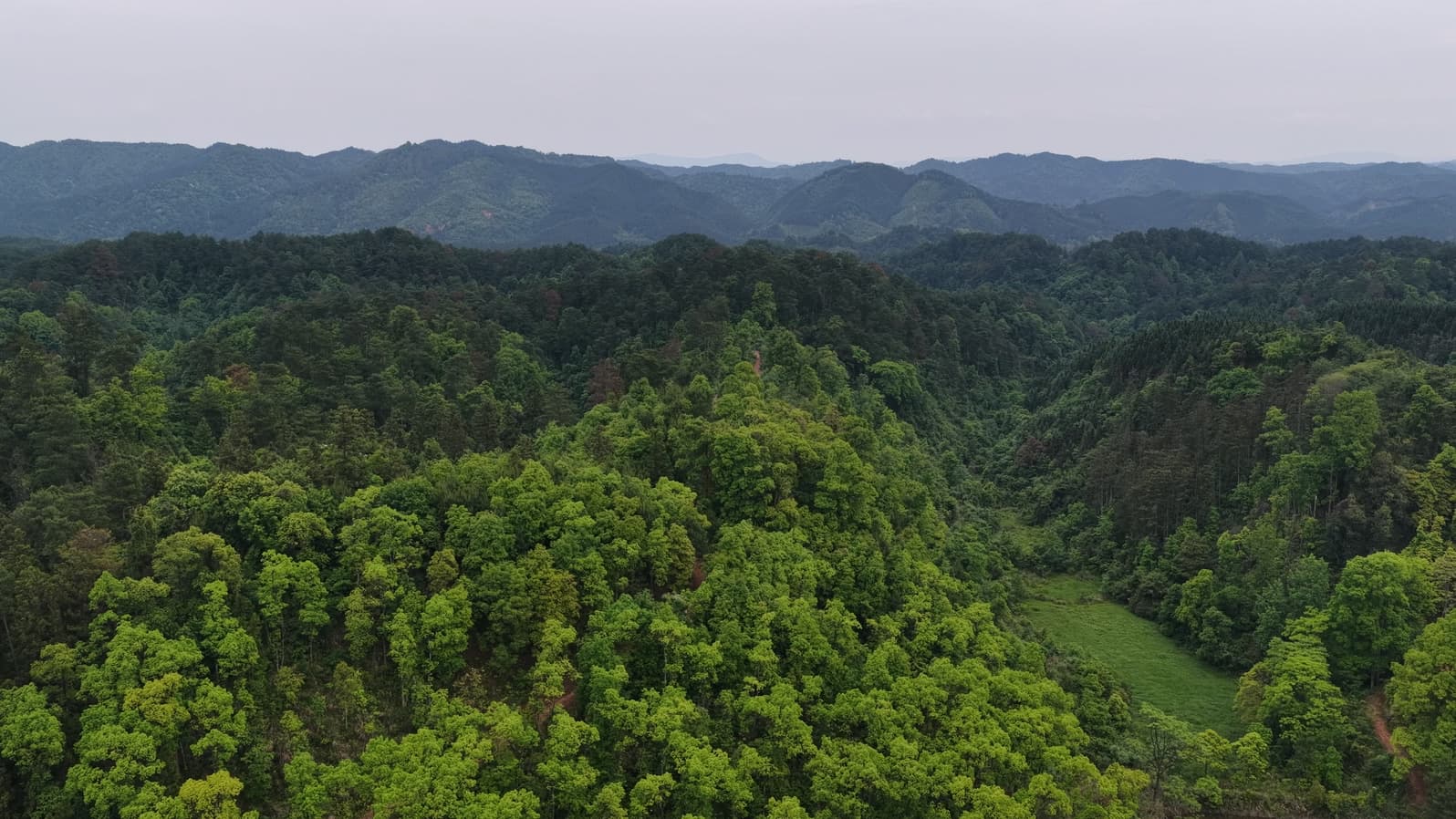 DJI_20260510151958_0011_D.MP4_20260723_161120.076.jpg DJI_20260510151958_0011_D.MP4_20260723_161120.076.jpg