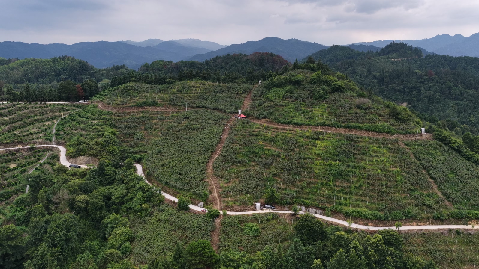 DJI_20260824093423_0037_D.MP4_20260824_161825.873.jpg DJI_20260824093423_0037_D.MP4_20260824_161825.873.jpg