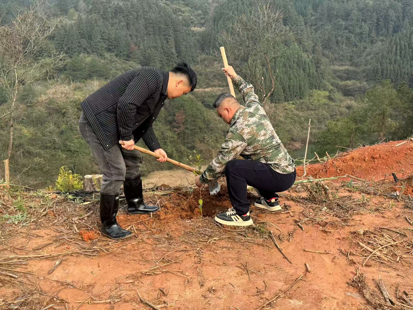 图片4.png 图片4.png