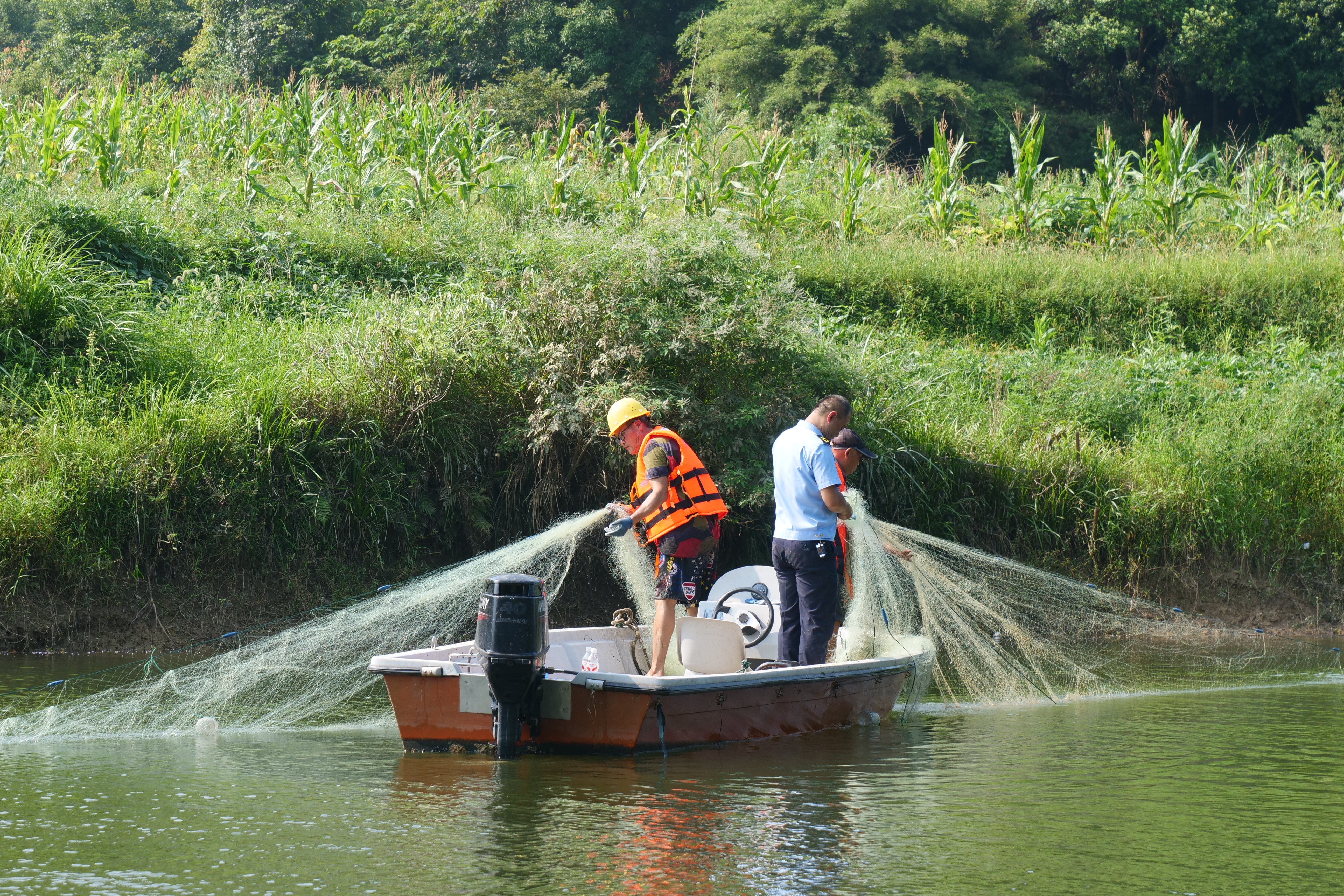 P1466797.JPG