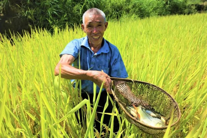 微治善治看北湖 | 瑶乡的振兴密码