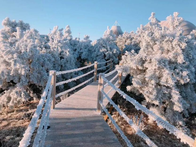今冬首场！仰天湖大草原雾凇实拍来了